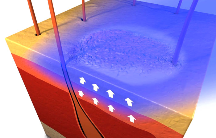 Phototherapy treatment