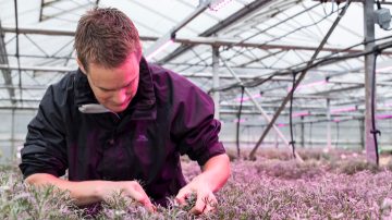 Up to 96% higher propagation success rate with Philips LED propagation lights Up to 96% higher propagation success rate with Philips LED propagation lights
