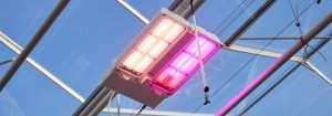Philips GreenPower LED toplighting force performance (TLFp)