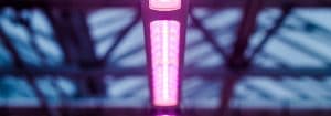 philips tll