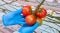 How can nutrient steering improve crop balance in low-heat cultivation?