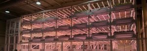 Signify boosts smart farming at Yonam with Philips LEDs