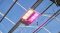 Philips GreenPower LED