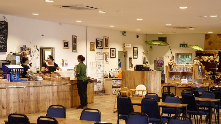 Energy saving LED lamps by Philips creating a clearer vision for the staff at the Dartmoor zoo