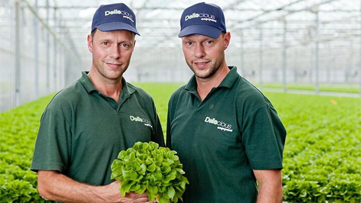 Roy and Mark Delissen, the owners of Deliscious, a lettuce growth company which uses Philips horticulture lighting 