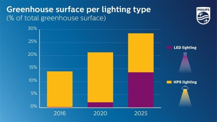 Greenhouse surface per lighting type
