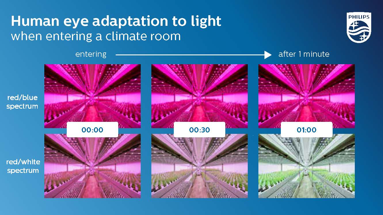 How the human eye adapts within 1 minute to different light spectra after entering a climate room