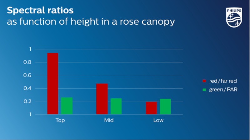 The relative amounts of red and green in PAR light