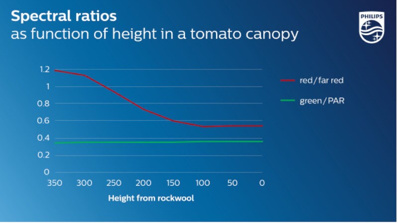 The light measured at different heights in a tomato canopy