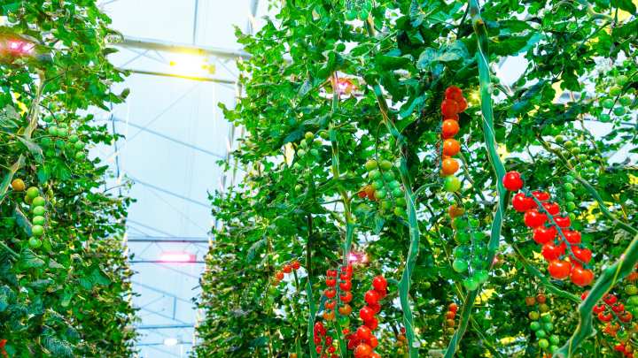 LED dimming can reduce your energy costs 
