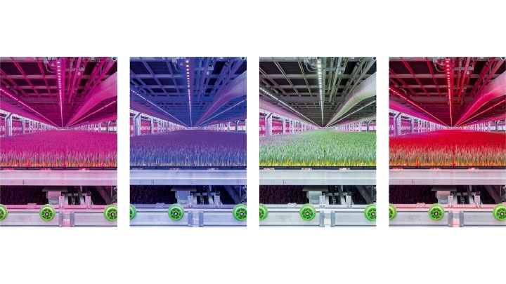 Indoor-Ag-Con-4