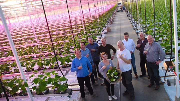 @cucumber grower Jac Dings and his team