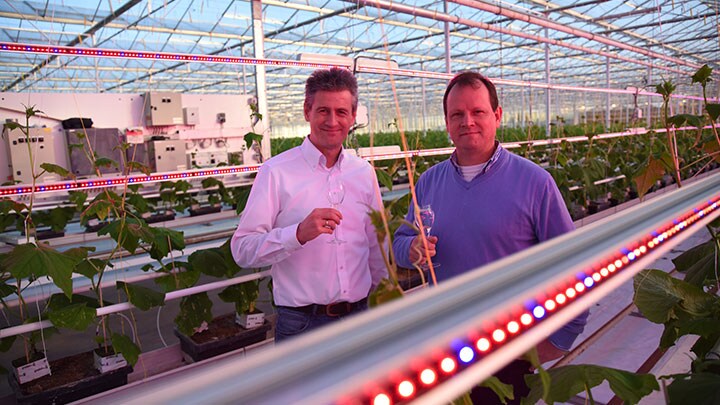 Wim Steeghs and Udo van Slooten, general manager Philips Horticulture