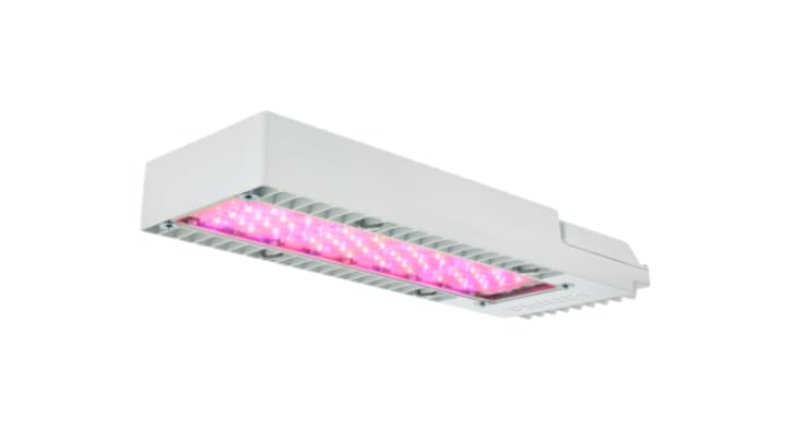 Philips GreenPower LED toplighting compact, LED grow lights for perennials and annuals