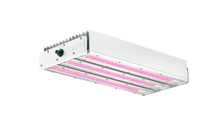 GreenPower LED toplighting are the ideal fruit and vegetable grow lights