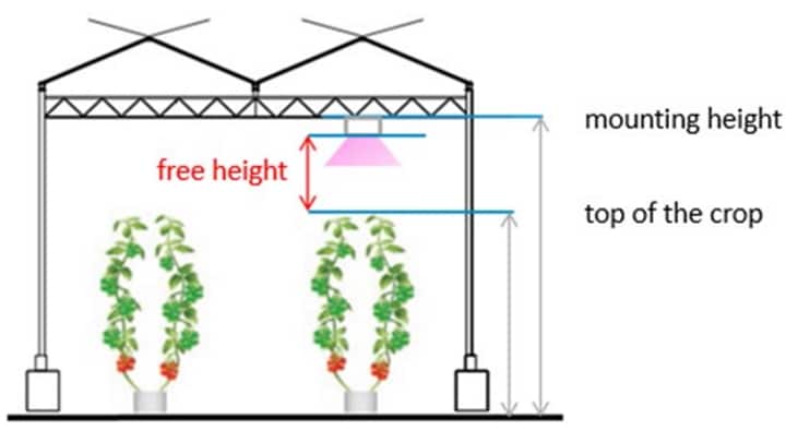 The free height is calculated by measuring the distance between the eventual top of the crop
