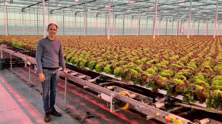 Philips Horticulture LED solutions from Signify 