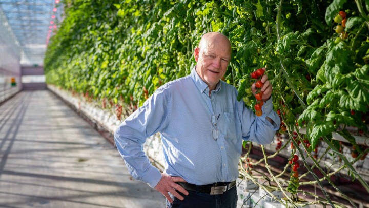 (man standing with tomatoes): Kåre Wiig Miljøgartneriet