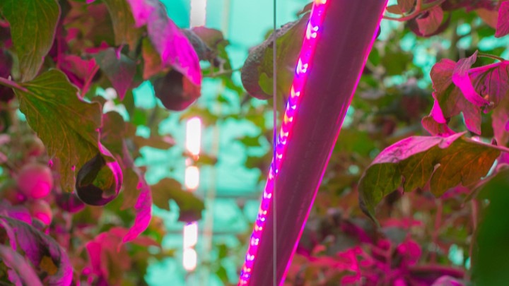 signify installs polands first full led lighting