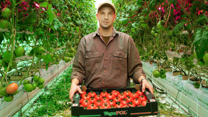 Man holding tomatoes