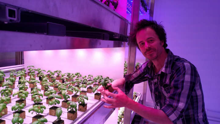 From Swiss alpines to indoor grown lettuce