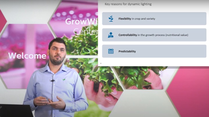 Grow with the pros