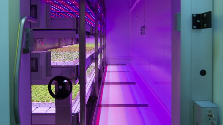 Ready-to-use container for city farming