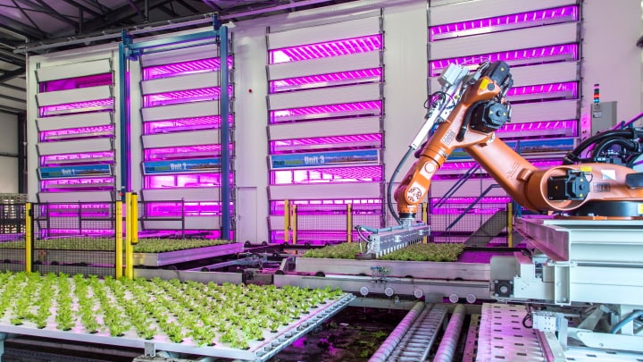 Large-scale indoor vertical farming plant factory