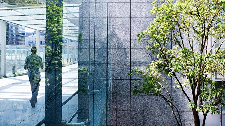 A tree next to a glass building
