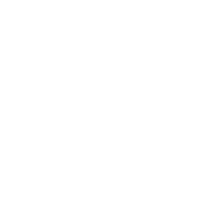 Api