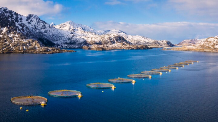 Marine-based aquaculture