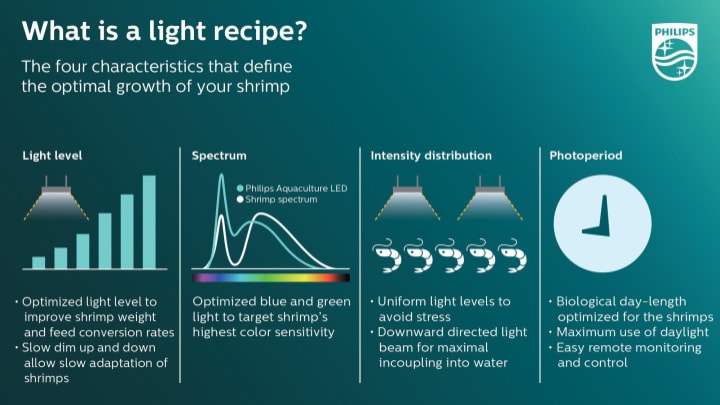 light recipe shrimp