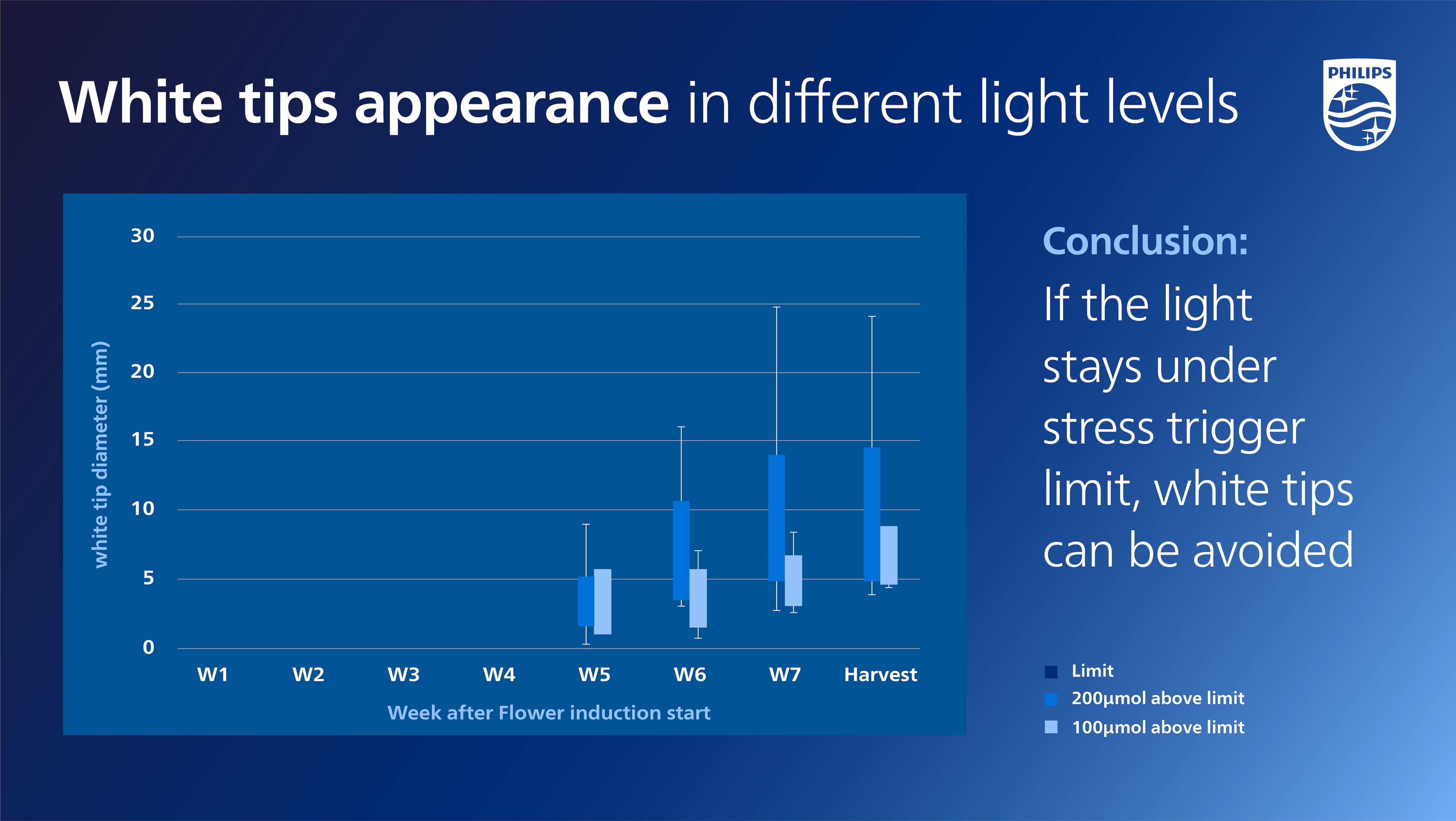 white tips appearance in different light levels
