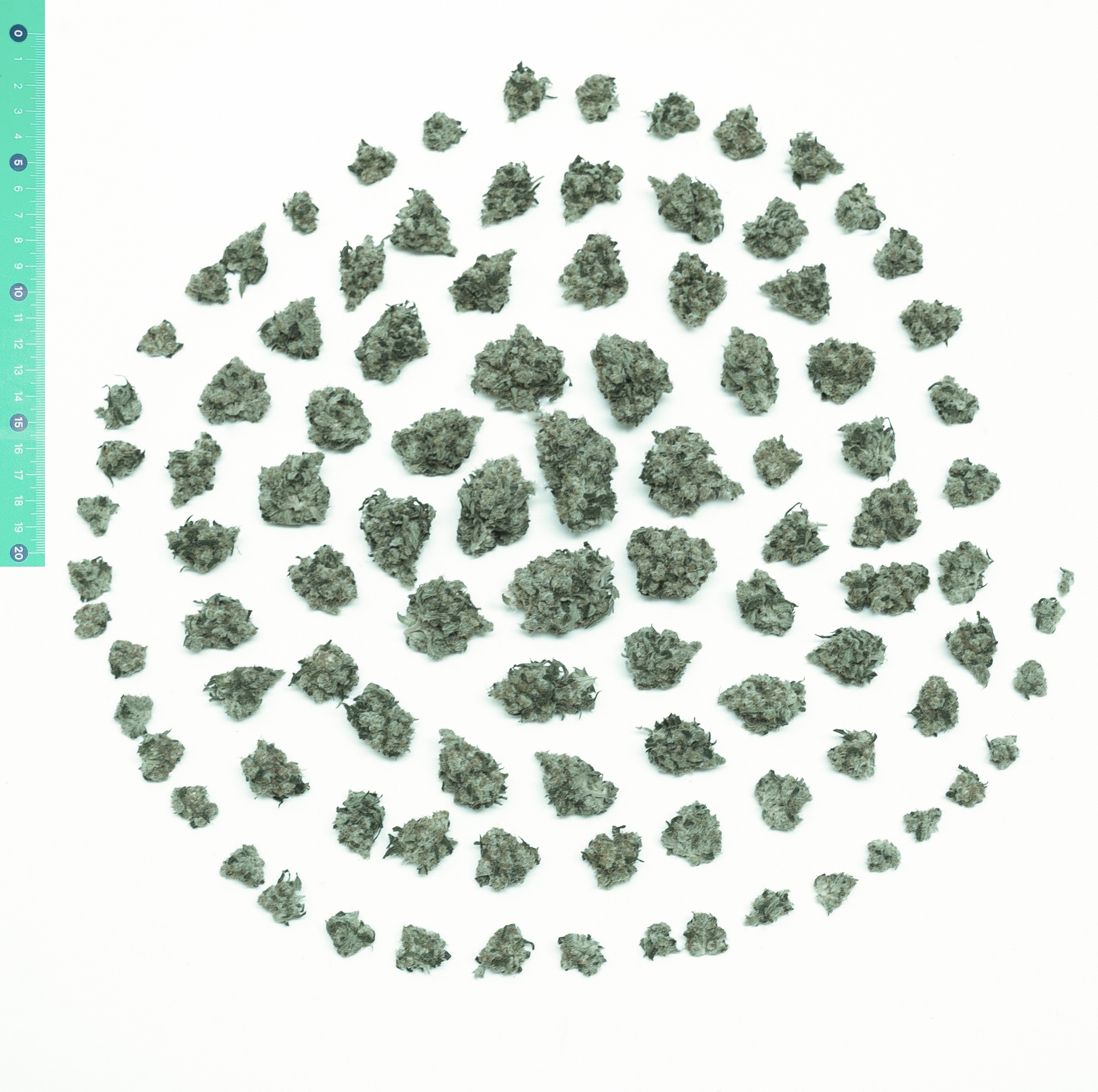 /content/dam/b2b-li/en_AU/horticulture/medicinal-cannabis/this-is-how-Philips-interlighting-increases-yield-in-cannabis/signify-grading-graphic-2.jpg