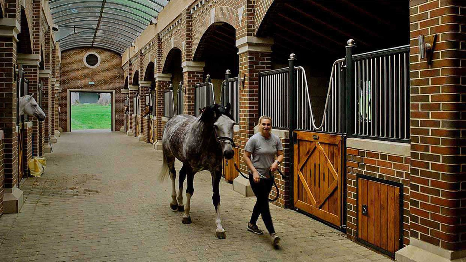 Bourne Hill Stables und UVCDesinfektion Philips lighting AT