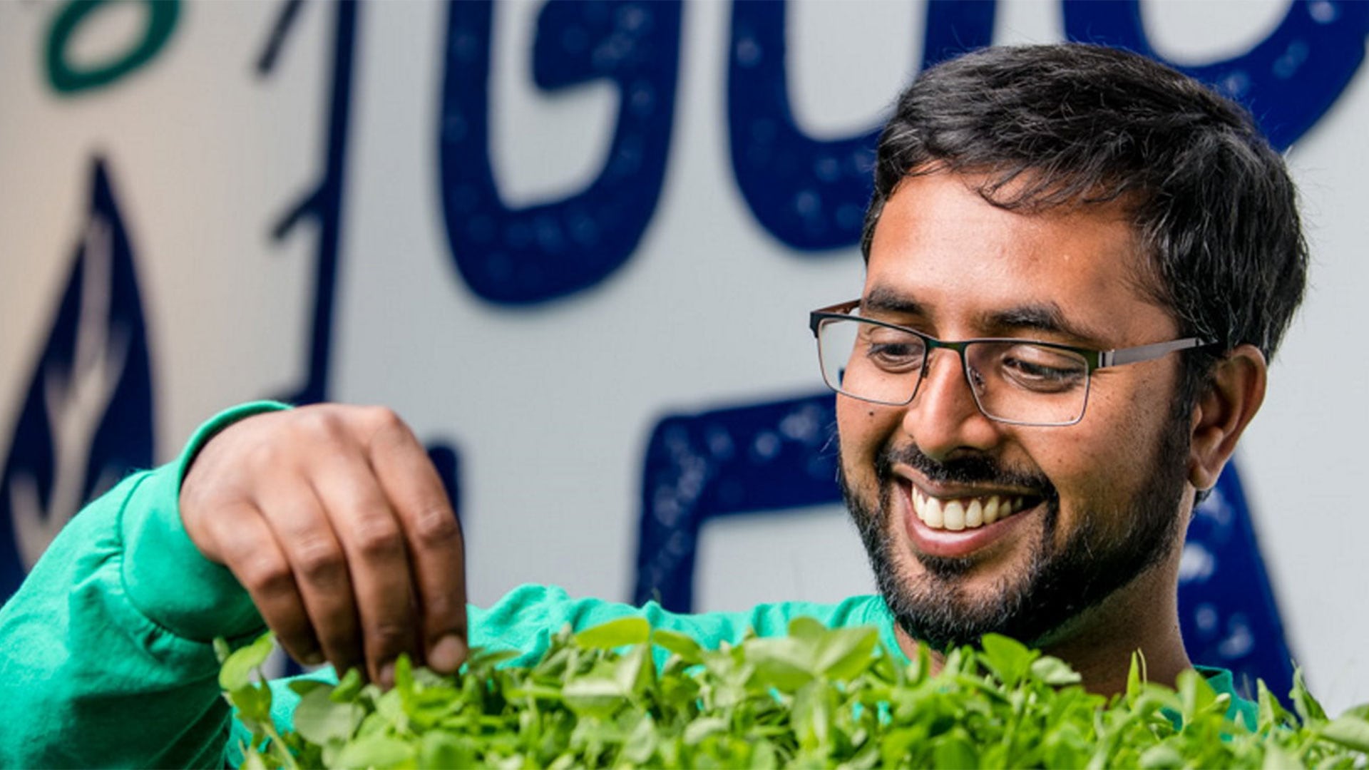 GoodLeaf Farms Philips lighting