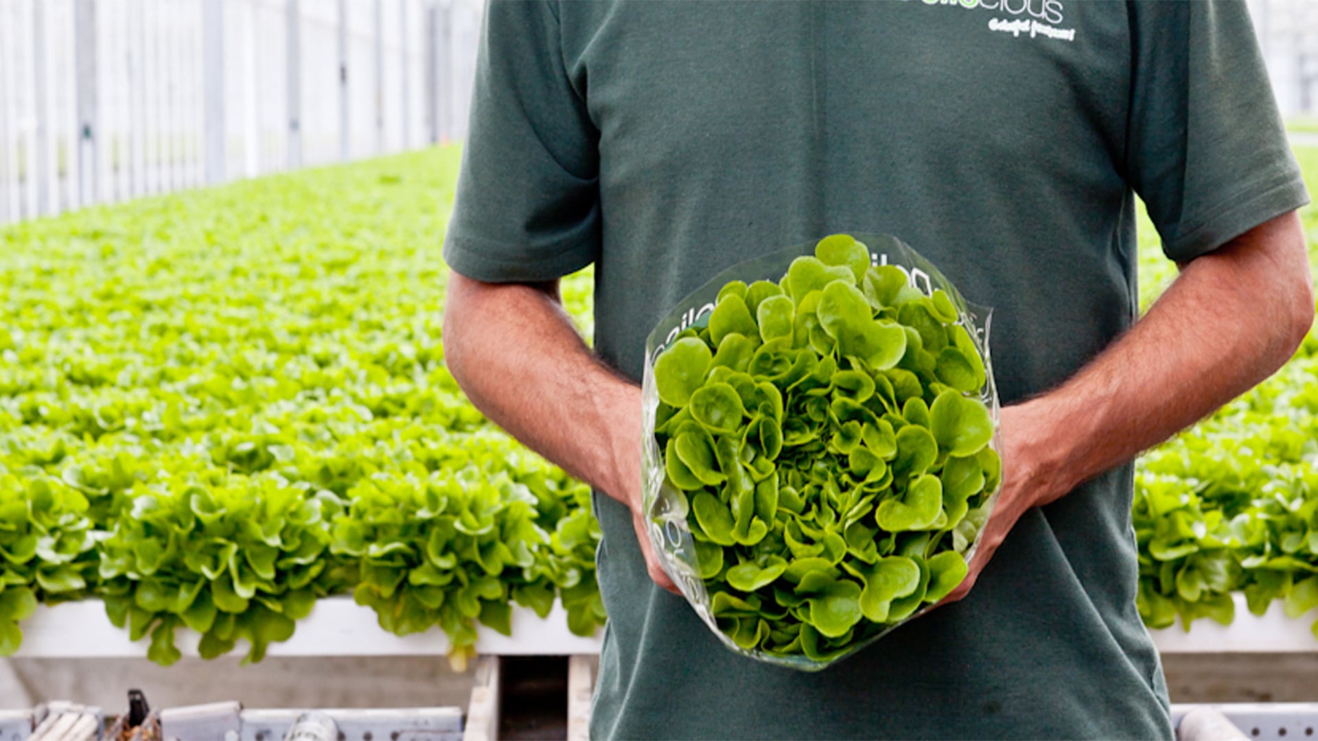 How different growing environments can influence nitrate levels in