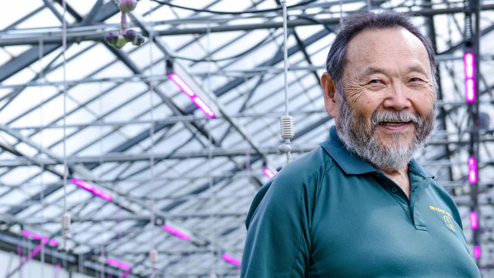 Iwasaki Bros Inc Philips lighting