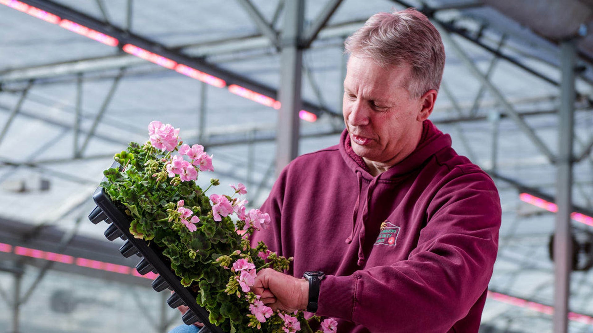 kalamazoo-specialty-plants-16-