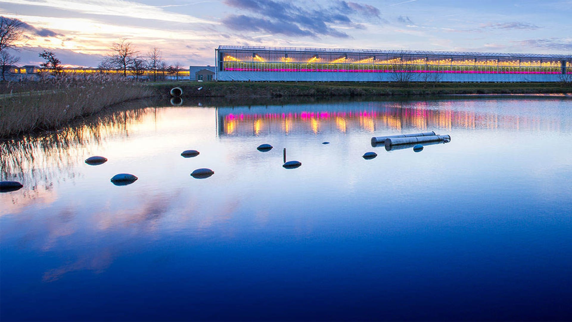 Warranty and aftersales service Philips lighting