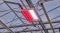 Philips GreenPower LED toplighting force 2.0 at Brabant Plant