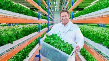 Vertical farm grow rooms with Philips LED lighting