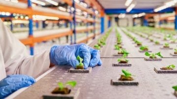Philips LED lighting installed in vertical farm grow rooms