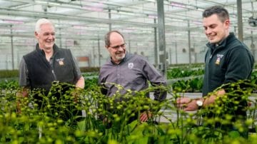 Large-scale orchid greenhouse requiring higher light levels and energy-efficient lighting.