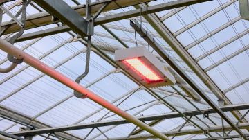 Intelligent lighting solution