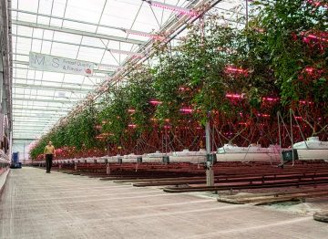 Improve consistency and increase yield Improve consistency and increase yield