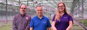 Young plant producer expands Philips LED installation