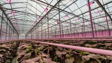 The LED lighting solution