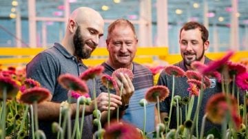 Signify supported Hollandia with a phased LED approach