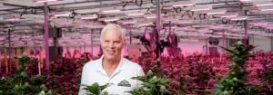 Tremendous difference in quality and quantity with Philips LEDs